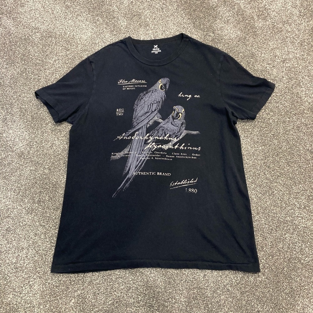 🌸 3/$20 Hering Bird Oversized Tee